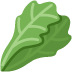 蔬菜批发